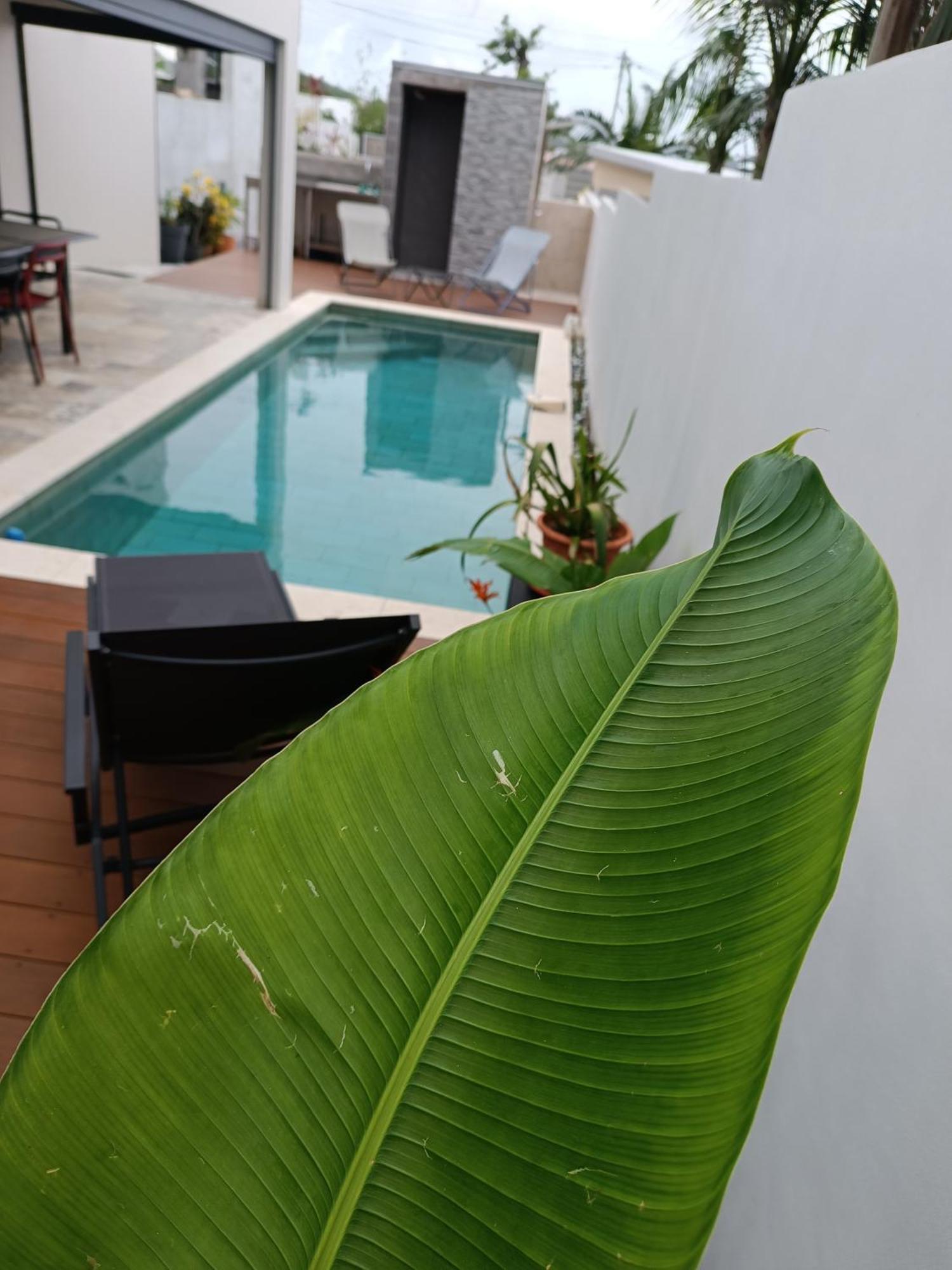 Villa O'Lhaya Piscine Pivee Saint-Joseph Dış mekan fotoğraf