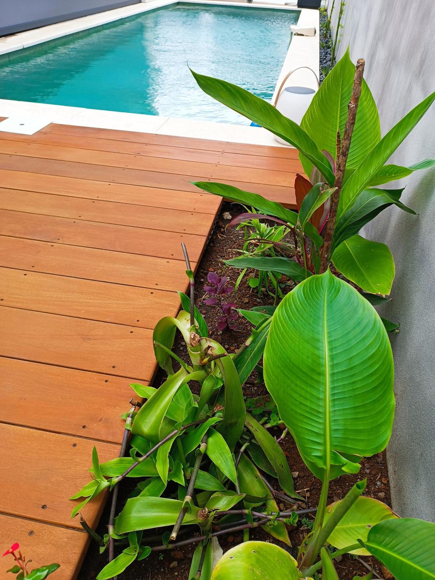 Villa O'Lhaya Piscine Pivee Saint-Joseph Dış mekan fotoğraf